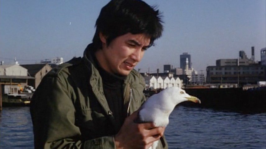 Oh Seagull, Have You Seen the Sparkling Ocean? An Encounter (1975) Oh-Seagull,-Have-You-Seen-the-Sparkling-Ocean?-An-Encounter-(1975)
