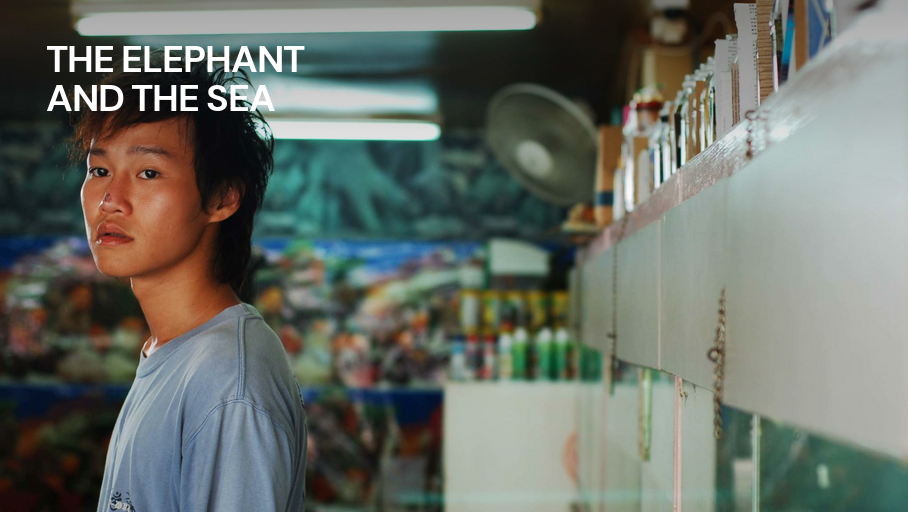 The Elephant And The Sea (2007) The-Elephant-And-The-Sea-(2007)